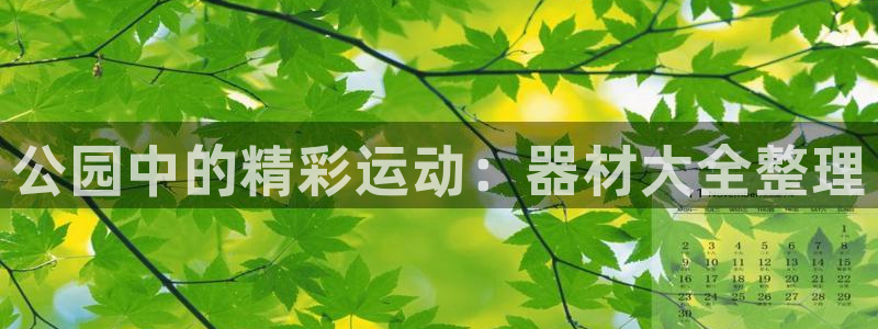 凯捷体育娱乐40996：公园中的精彩运动：器材大全整理