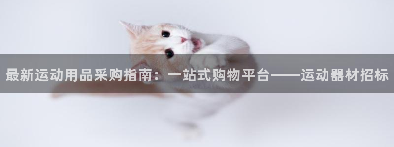 凯捷体育代理：最新运动用品采购指南：一站式购物平台—