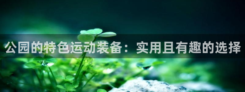 凯捷体育软件：公园的特色运动装备：实用且有趣的选择