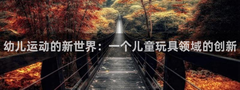 凯捷体育是干嘛的公司：幼儿运动的新世界：一个儿童玩具