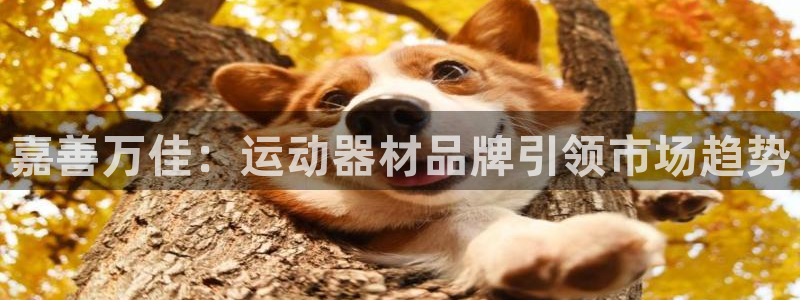 凯捷体育招商电话号码查询：嘉善万佳：运动器材品牌引领