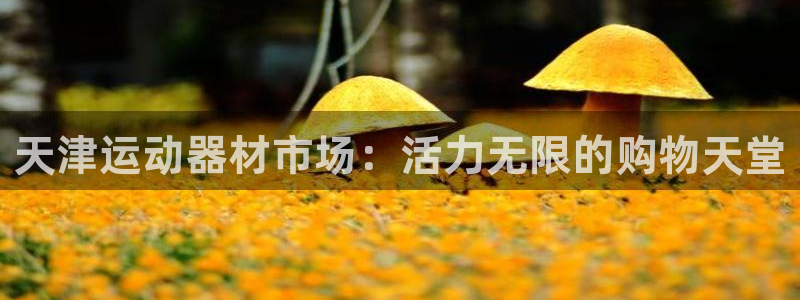 凯捷体育娱乐首页官网下载：天津运动器材市场：活力无限的购物天