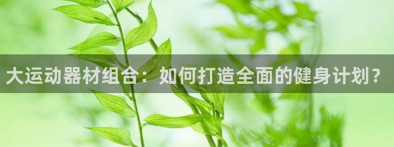 凯捷体育平台注册流程图：大运动器材组合：如何打造全面的健身计