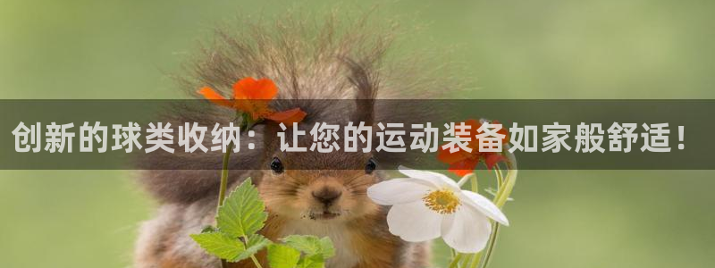 凯捷体育招商电话是多少号码：创新的球类收纳：让您的运