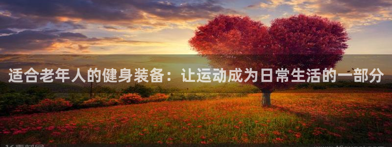 凯捷体育平台假的吗是真的吗：适合老年人的健身装备：让