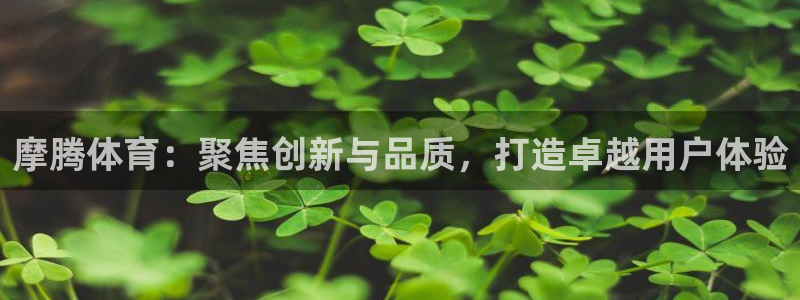 凯捷体育科技：摩腾体育：聚焦创新与品质，打造卓越用户