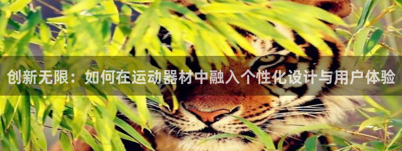 凯捷体育平台假的吗是真的吗吗：创新无限：如何在运动器