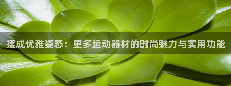 凯捷体育集团官网首页网址：摆成优雅姿态：更多运动器材
