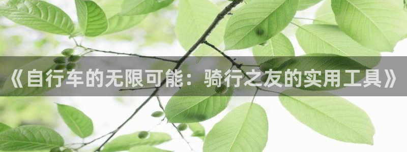 凯捷体育官网：《自行车的无限可能：骑行之友的实用工具
