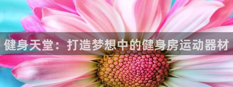 凯捷体育娱乐首页官网下载
