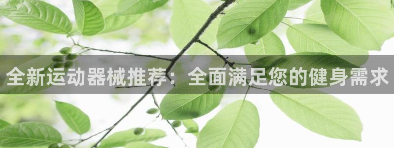 凯捷体育平台：全新运动器械推荐：全面满足您的健身需求