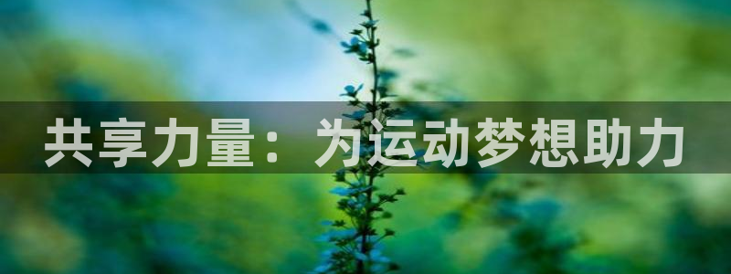 凯捷体育招商电话是多少号码：共享力量：为运动梦想助力
