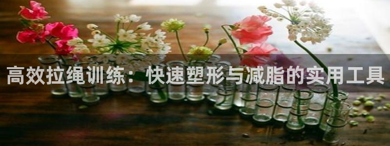 意昂集团官网：高效拉绳训练：快速塑形与减脂的实用工具