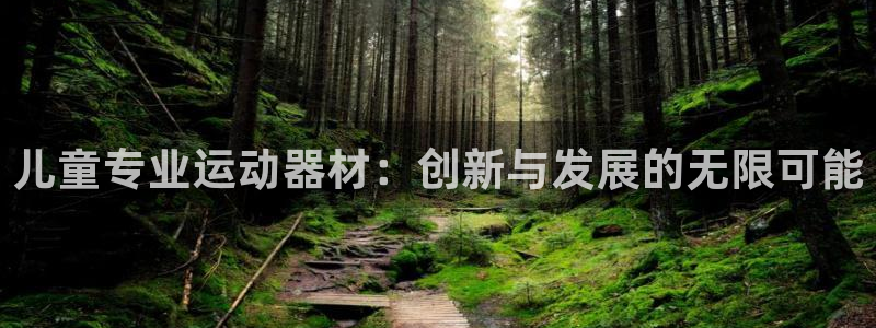 凯捷体育娱乐首页官网下载：儿童专业运动器材：创新与发展的无限