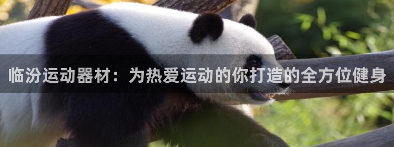 意昂集团官网：临汾运动器材：为热爱运动的你打造的全方位健身