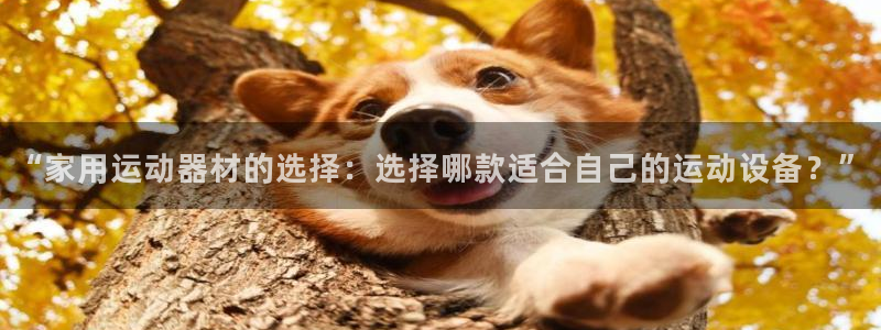 凯捷体育官方：“家用运动器材的选择：选择哪款适合自己的运动设